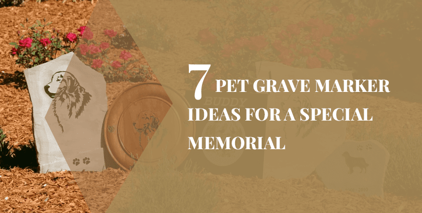 7 Pet Grave Marker Ideas for a Special Memorial