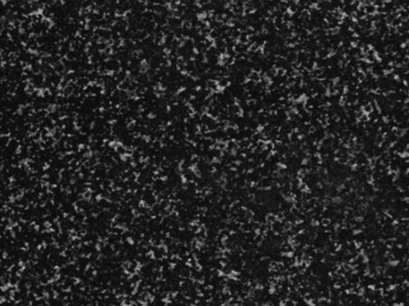 Regal Black Granite