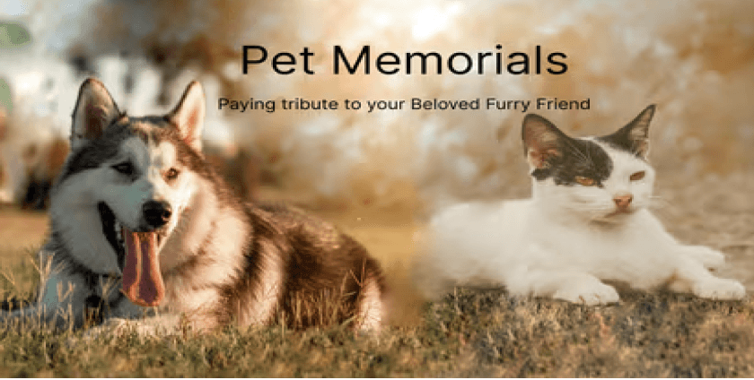Pet Memorials for Cats & Dogs: Paying Tribute to Your Beloved Furry Friend