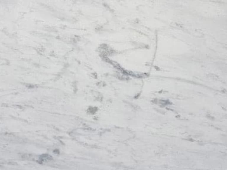 Fantasy White Marble