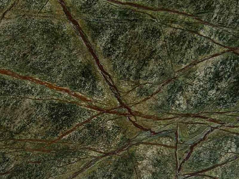 Premium Rainforest Green Marble Slabs Supplier