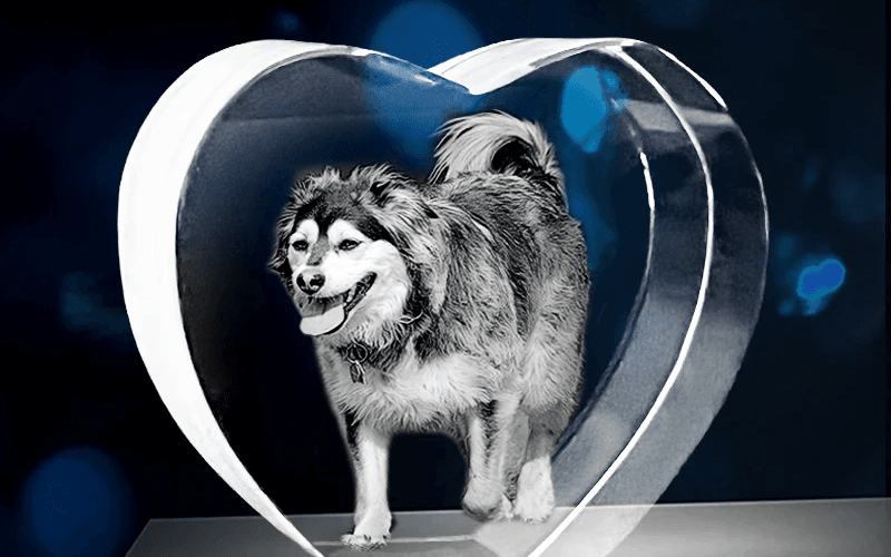 engraved glass pet memorial